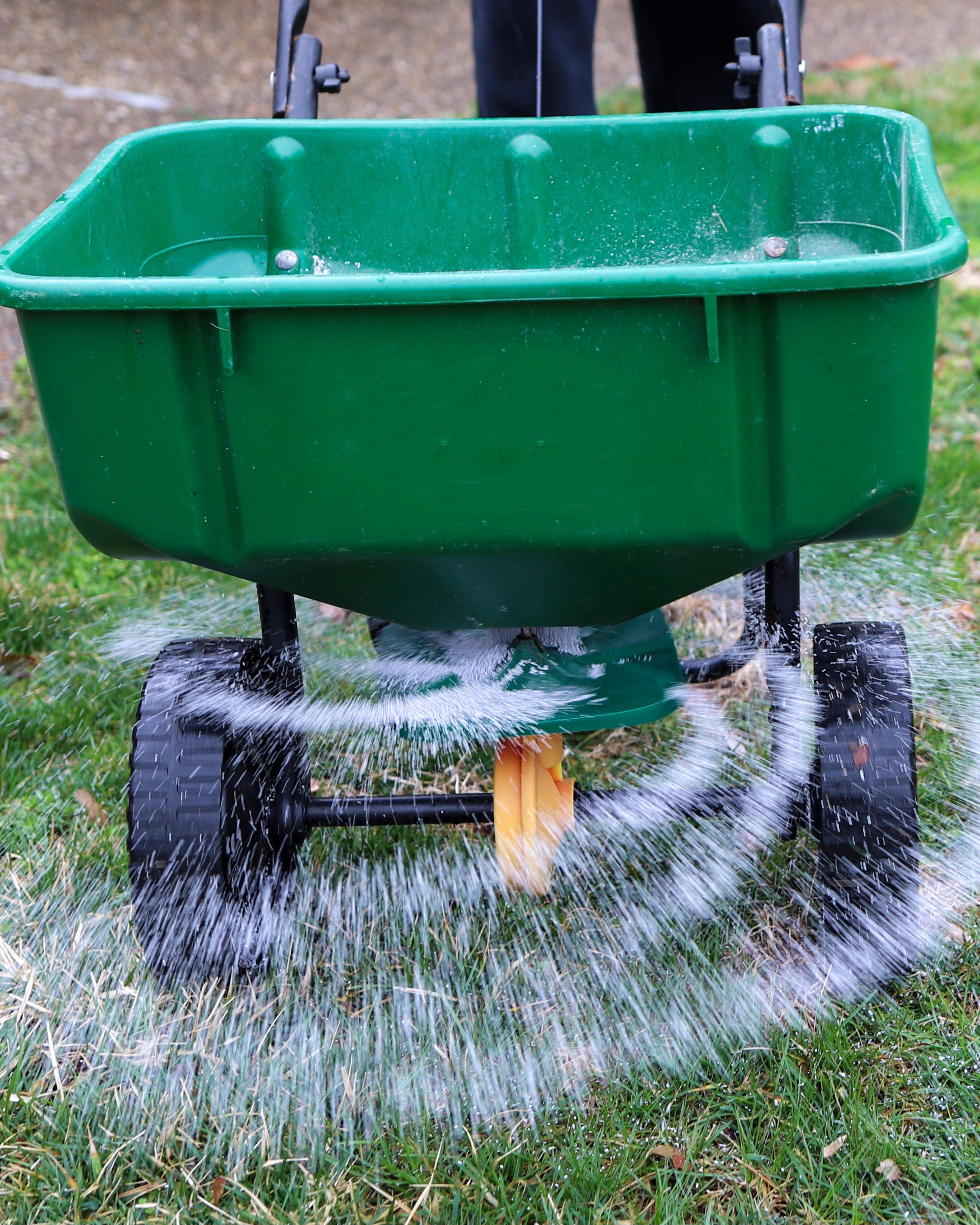 Fertilizer application on sports turf